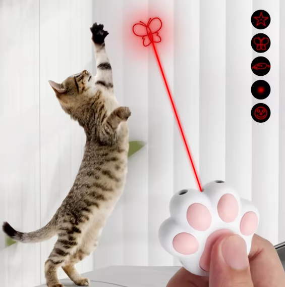 PetSafe Frolicat Bolt Laser Toy