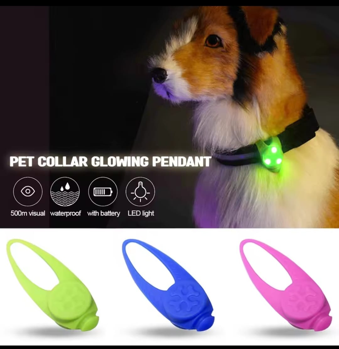 Pet led Safety Light